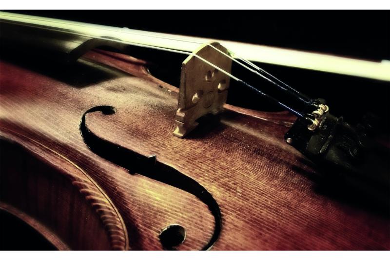 כינור - עם המורה אנה יסיפוביץ ✦ משך שיעור 60
