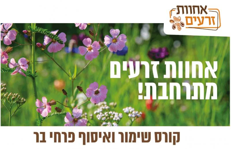 קורס שימור ואיסוף פרחי בר 