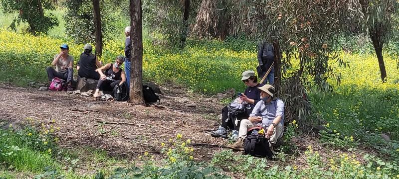 שביל ישראל: כפר משהד ועד אלון הגליל