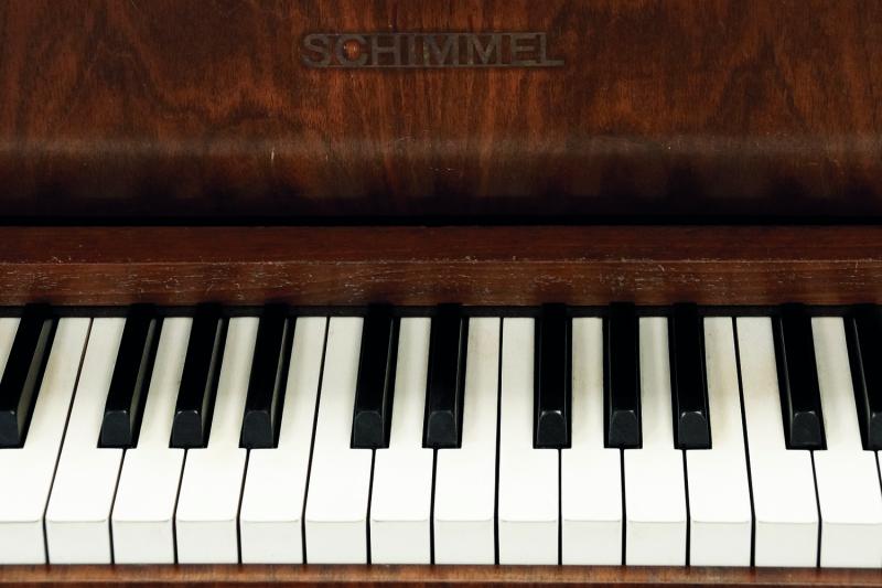 פסנתר - עם המורה צמח רן ✦ משך שיעור 30 דקות