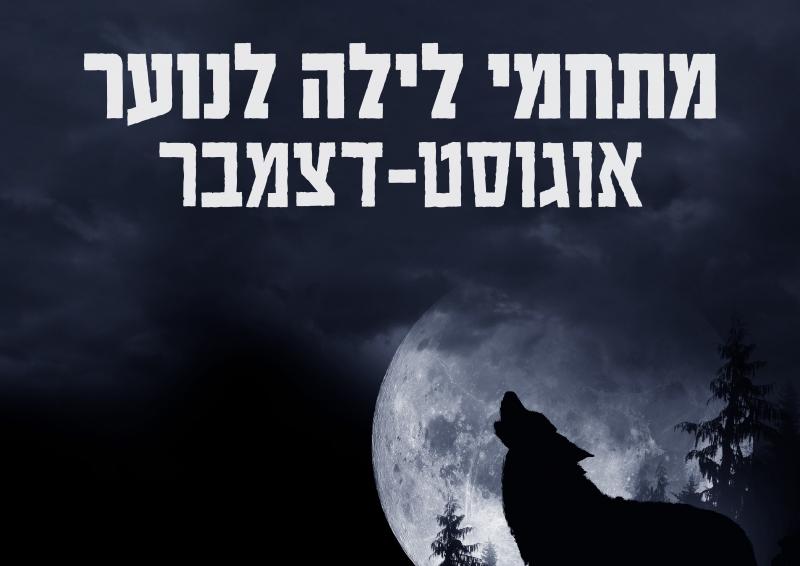 חדש! מתחמי לילה לנוער