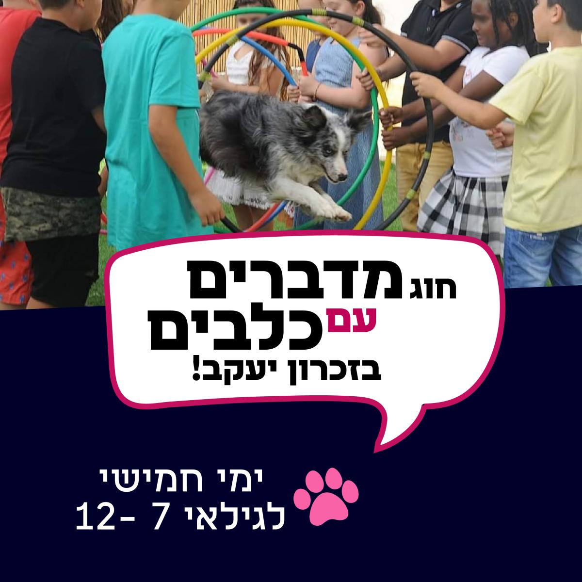 מדברים עם כלבים