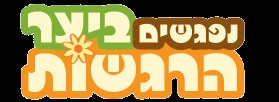 תכנית פדגוגית בגנים